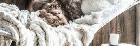 TaniaJ79's profile banner image