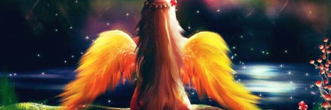 looneyjune's profile banner image
