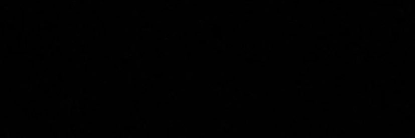 👑 banner