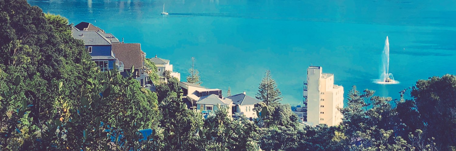 Ashley Driver banner