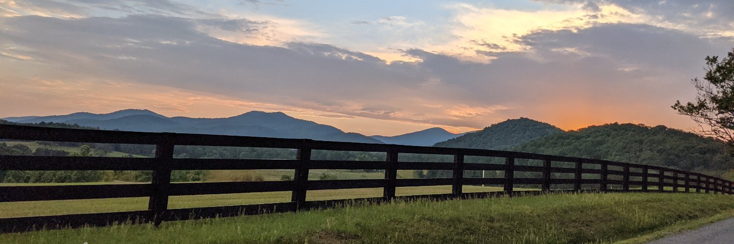 KellyShannonMD's profile banner image