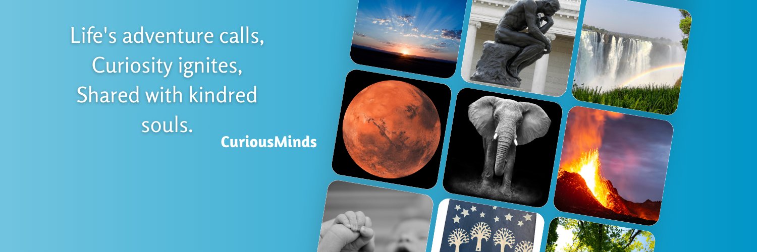 curiousminds_uk's profile banner image