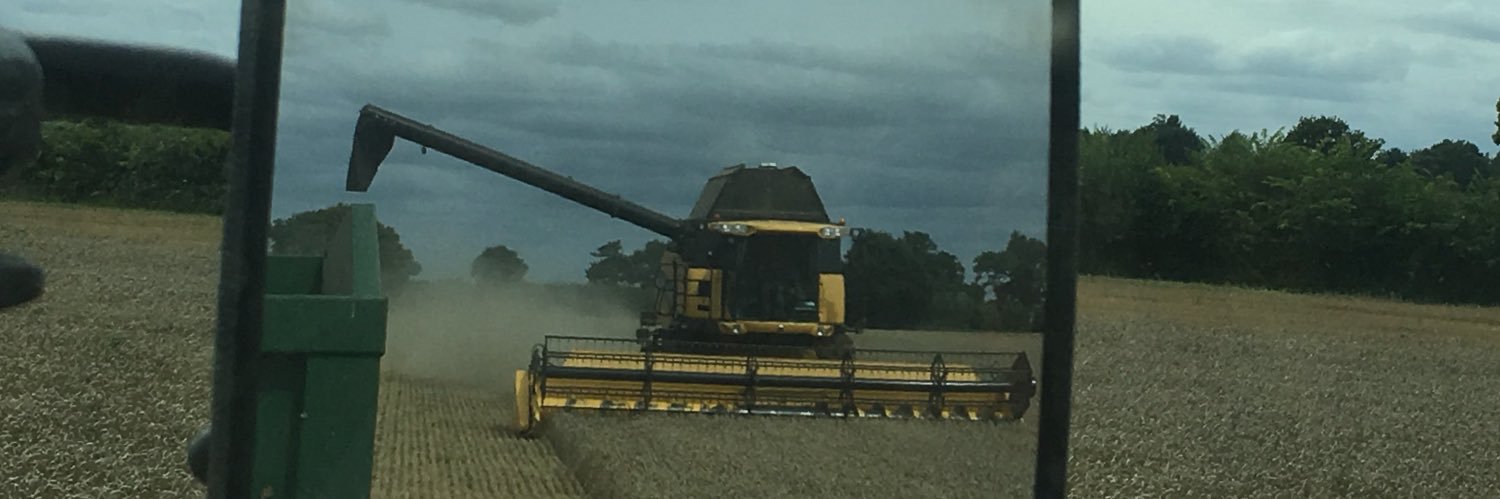 simon squirrell banner