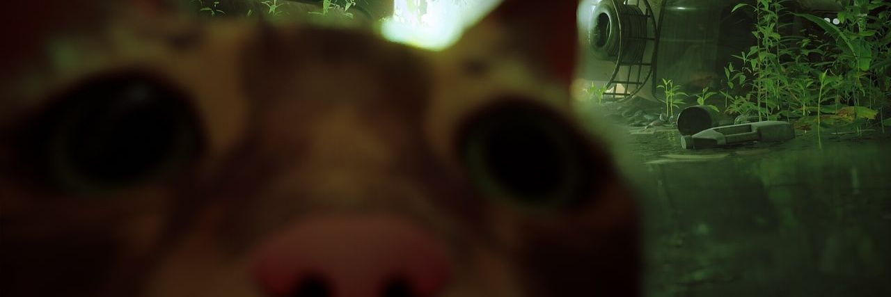 Failed_Creati0n's profile banner image