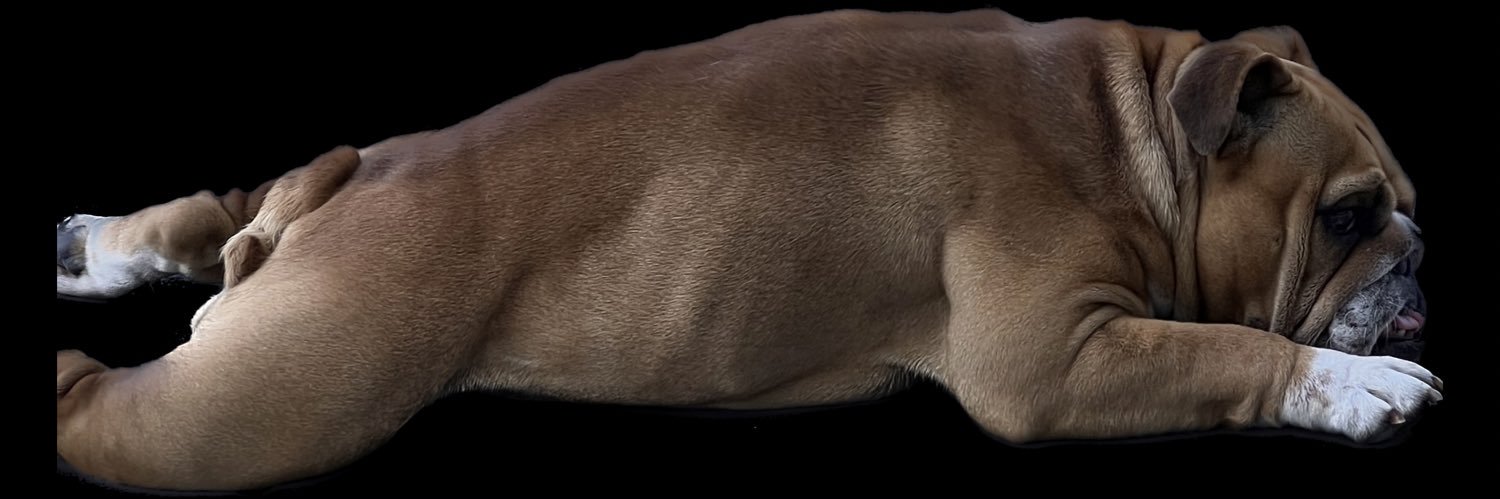 13AndyButcher's profile banner image