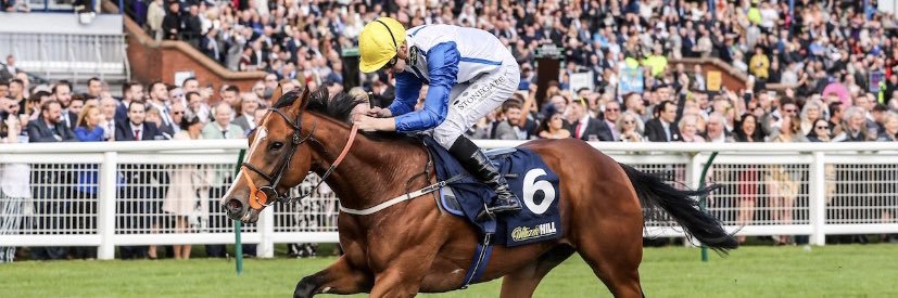 Hector Crouch banner