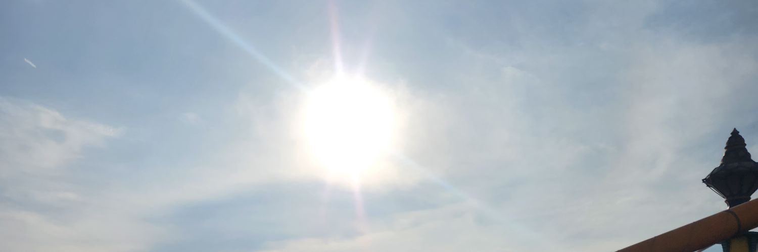 tarierustaria's profile banner image