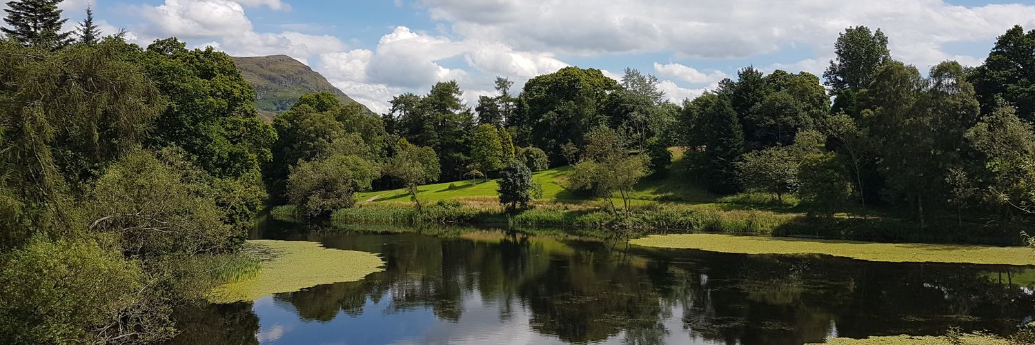 Niamh Fitzgerald banner