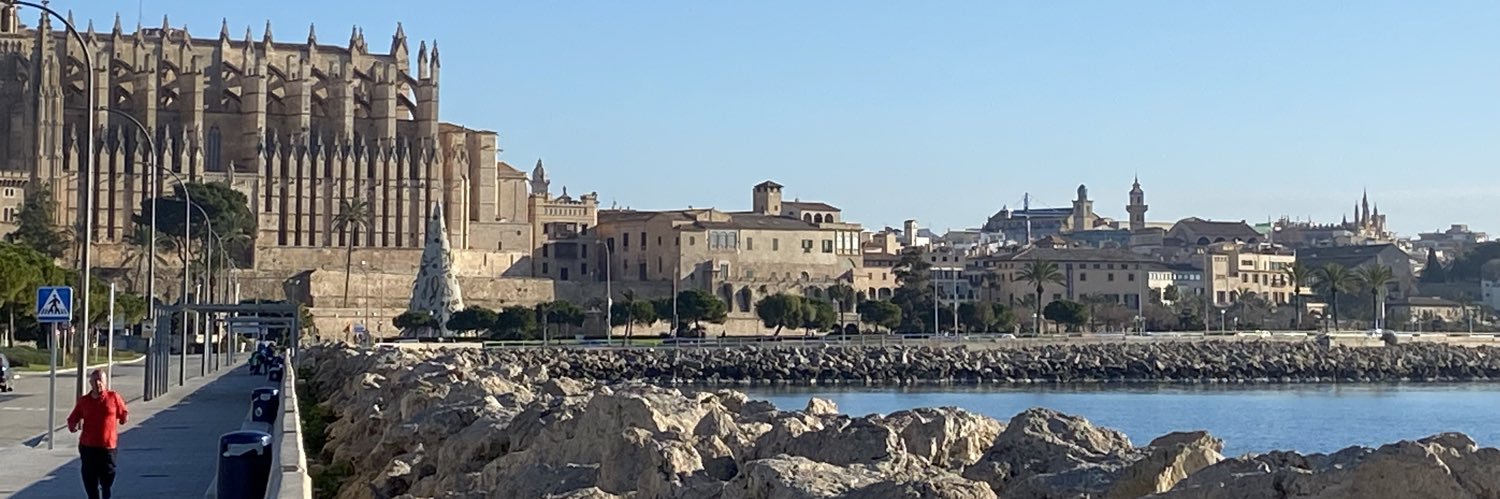 sandra ferrer banner