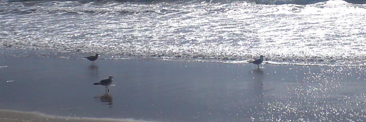 di_shui's profile banner image