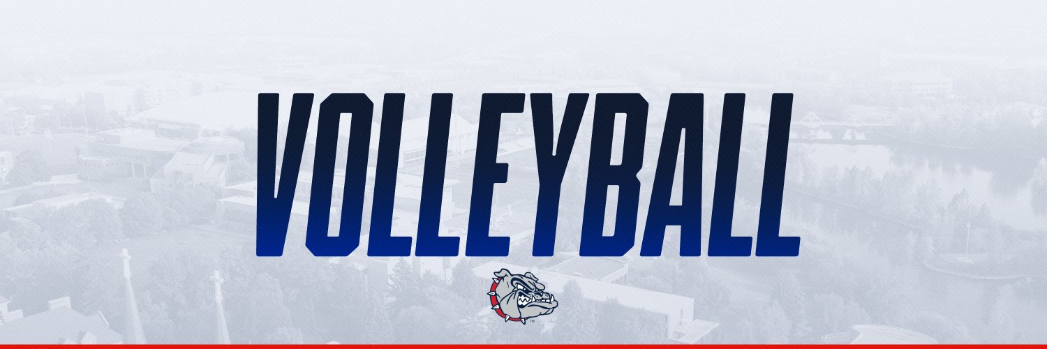 ZagVolleyball's profile banner image