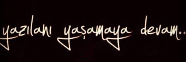 cfrylmz23's profile banner image