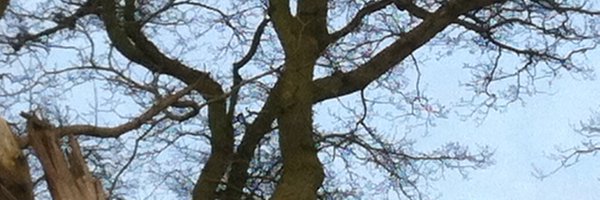 ComplexityC Profile Banner