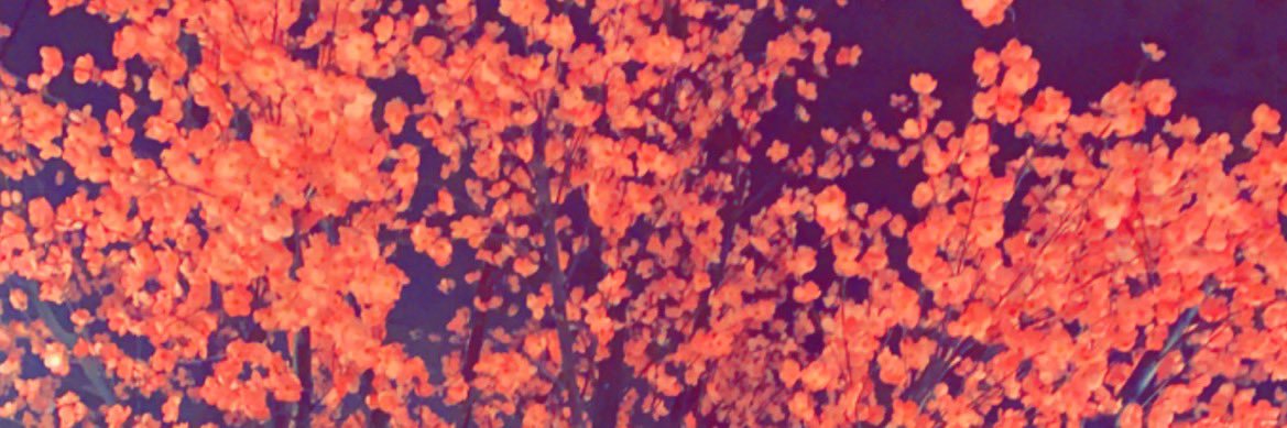 nor_alkon12's profile banner image