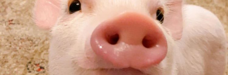 ainhooadiaz's profile banner image