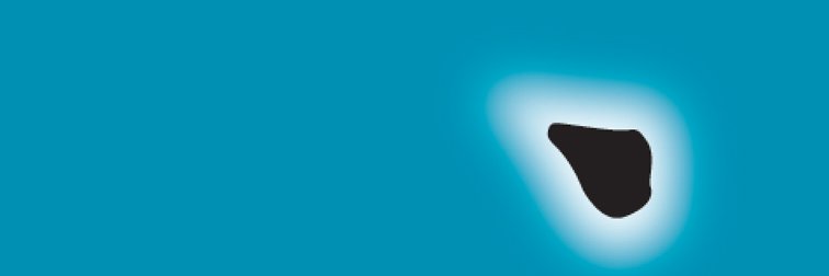 Edward Austin Hall banner