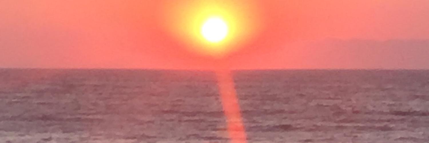 RoseSims77's profile banner image