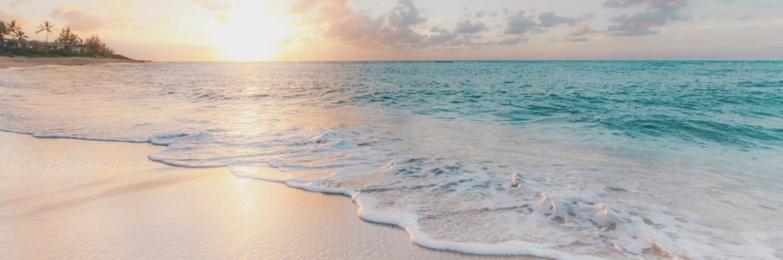 tiffysneed's profile banner image