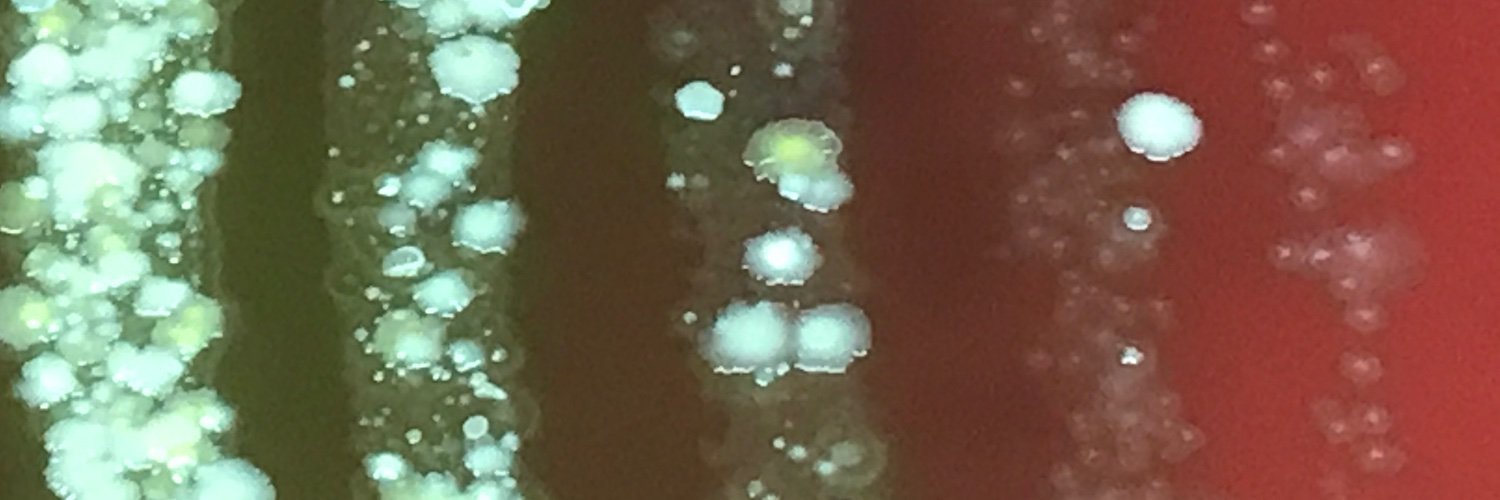 ar_twtr22's profile banner image