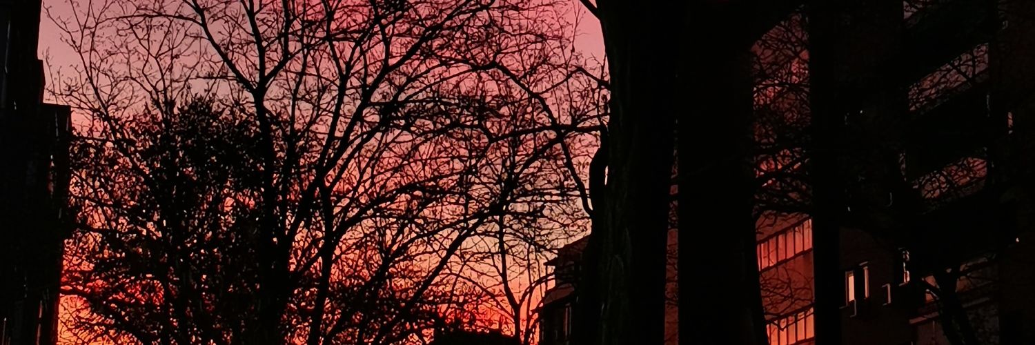 _amsterdamm's profile banner image