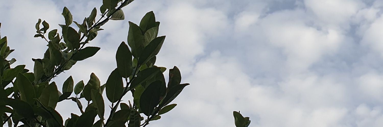 eman_allawati's profile banner image