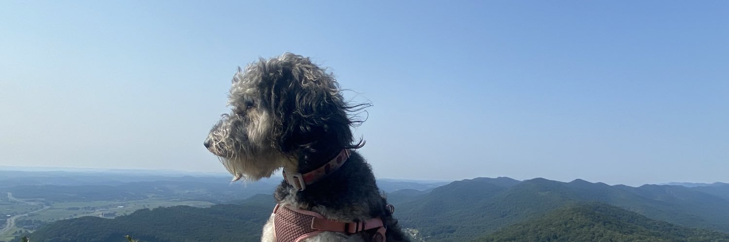 avery_hatmaker's profile banner image