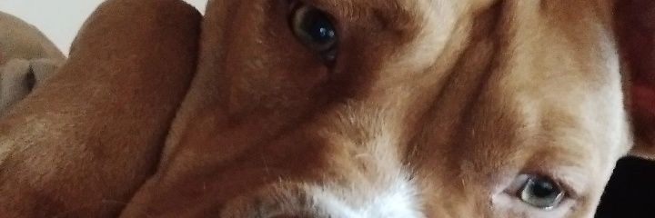 NicolasSini_'s profile banner image