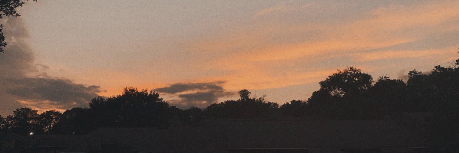 grace_bauer1's profile banner image