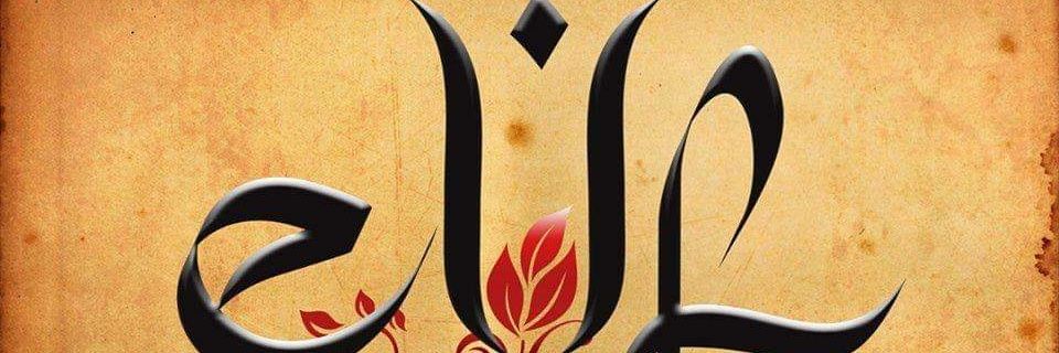 Elif Söylevi banner