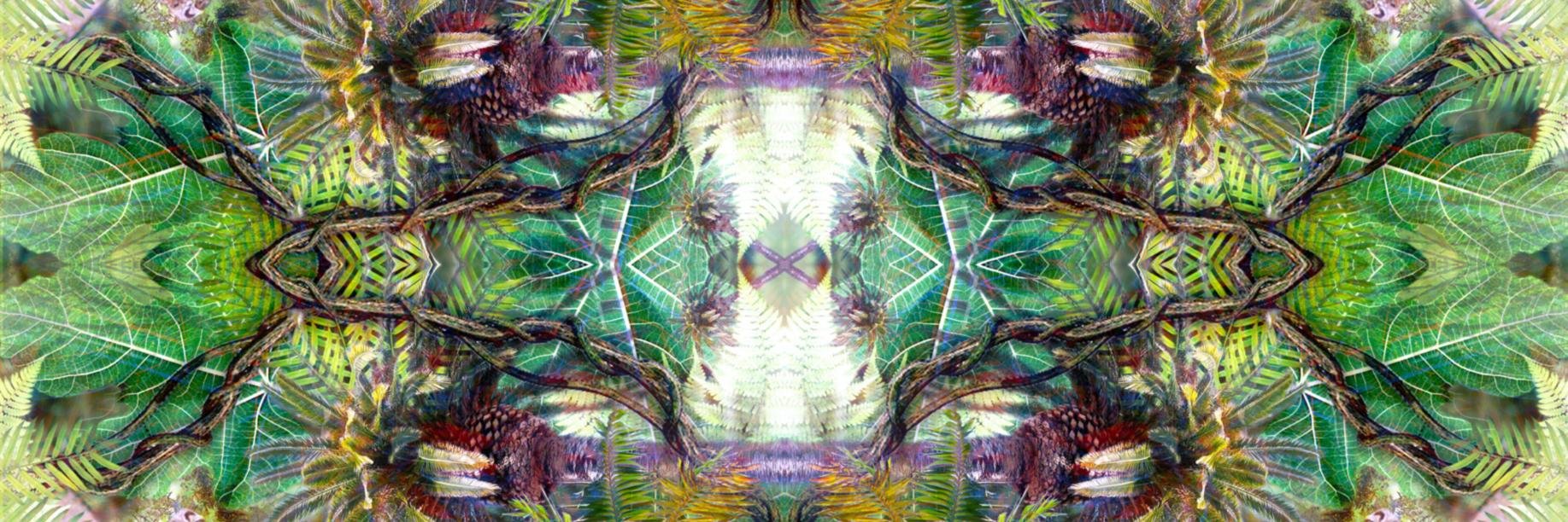 trillwave's profile banner image