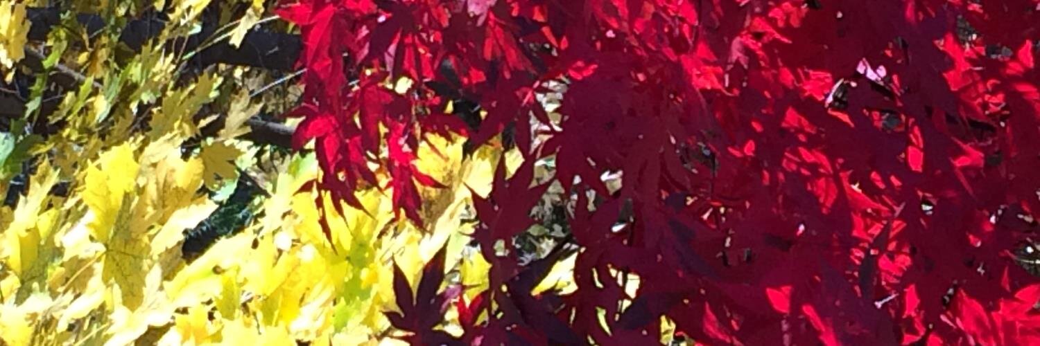 mgarberg's profile banner image