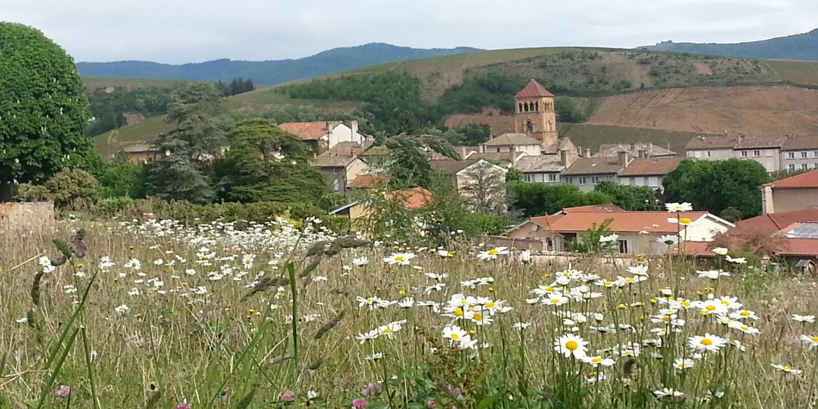 GerardTexier's profile banner image