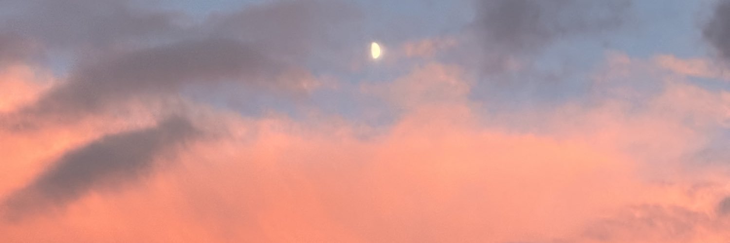 Nataliaolveera's profile banner image
