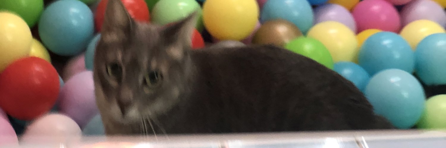 Celxstelee's profile banner image