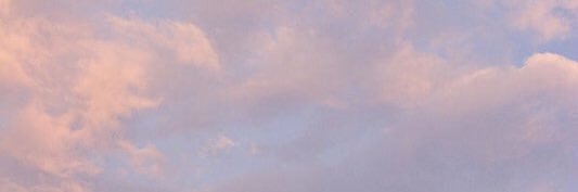 sexiibex banner