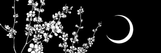 sssethunya's profile banner image