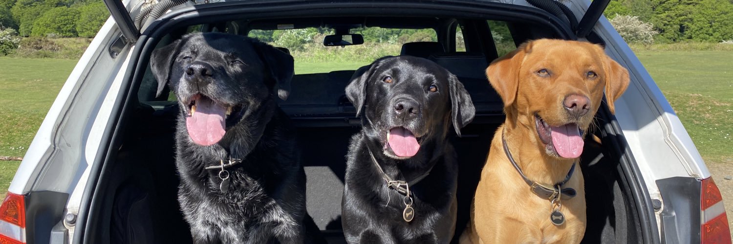 Mandi Ingram 🌈 banner