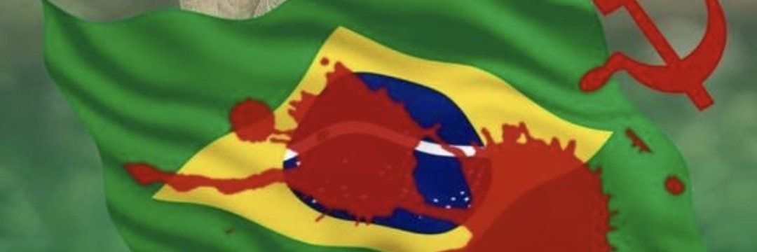 Brazil 🇧🇷 React 🤜🤜🤜🤜🤜 banner