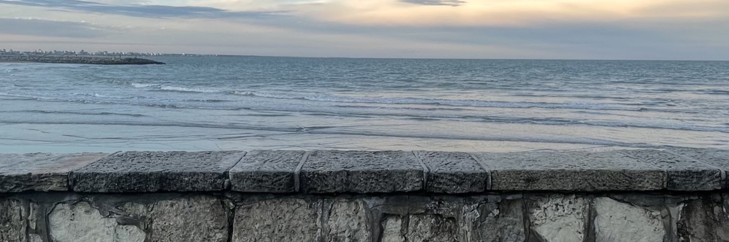 tomigoenaga's profile banner image