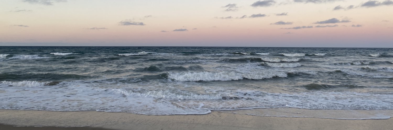 bri_evsy's profile banner image