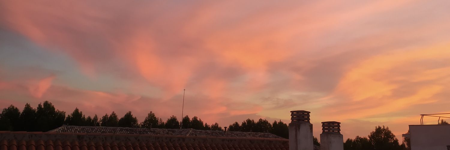 Ireneee_3's profile banner image