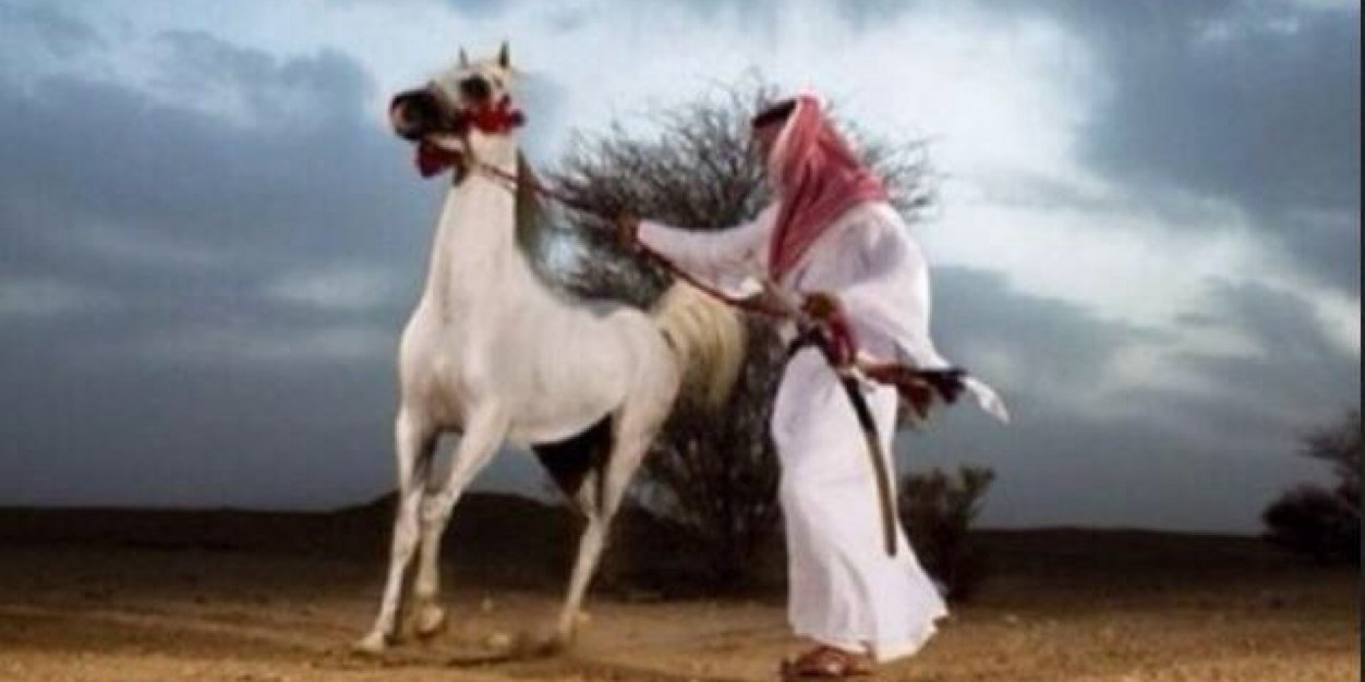 alwalaaah's profile banner image