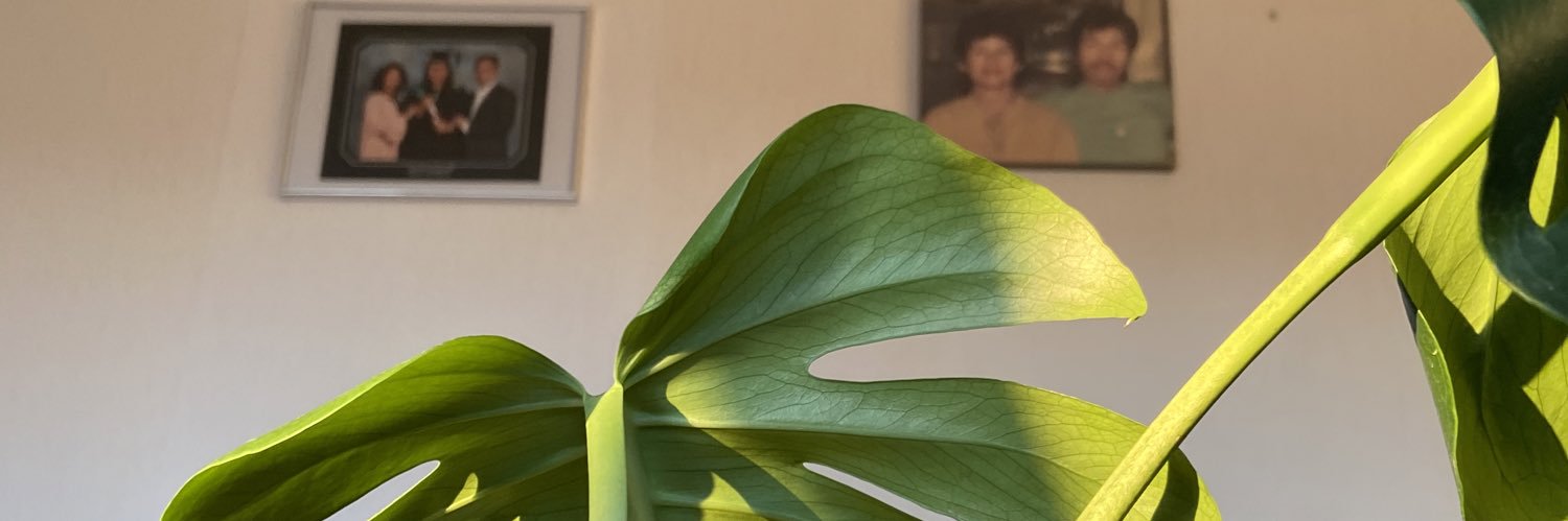 elleinadayo's profile banner image