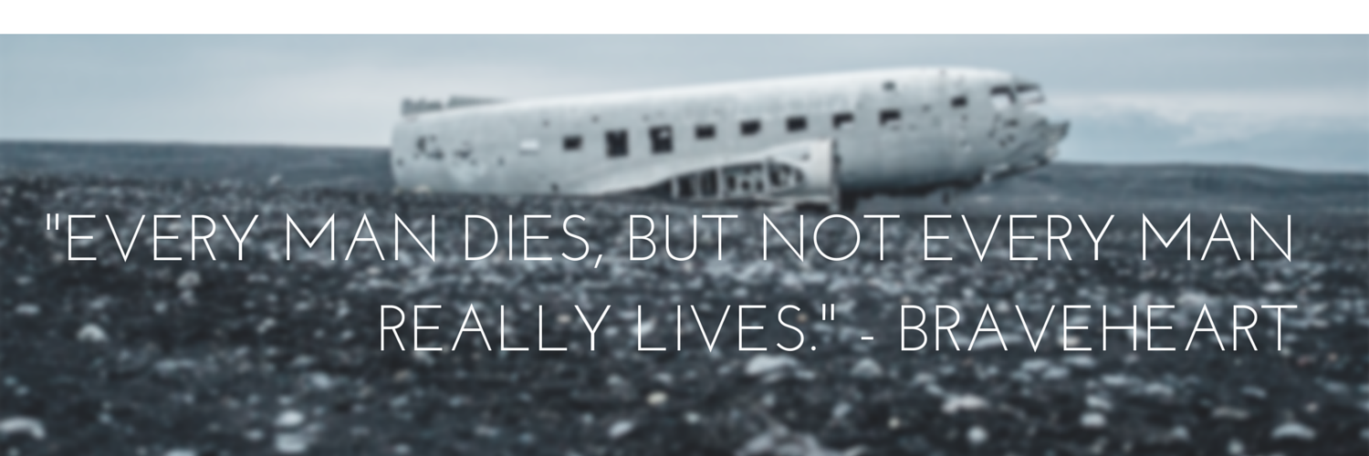 TheWeeLittleZ's profile banner image