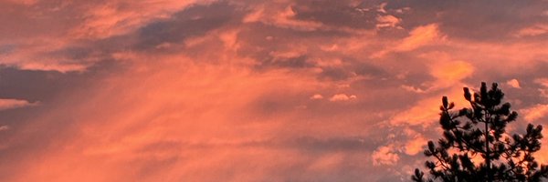 Zee80Thompson Profile Banner