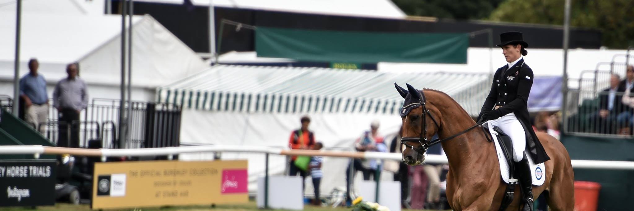 EquineElite1's profile banner image