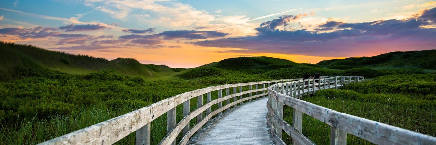 🍁 TAKING TROUT 🍁 banner