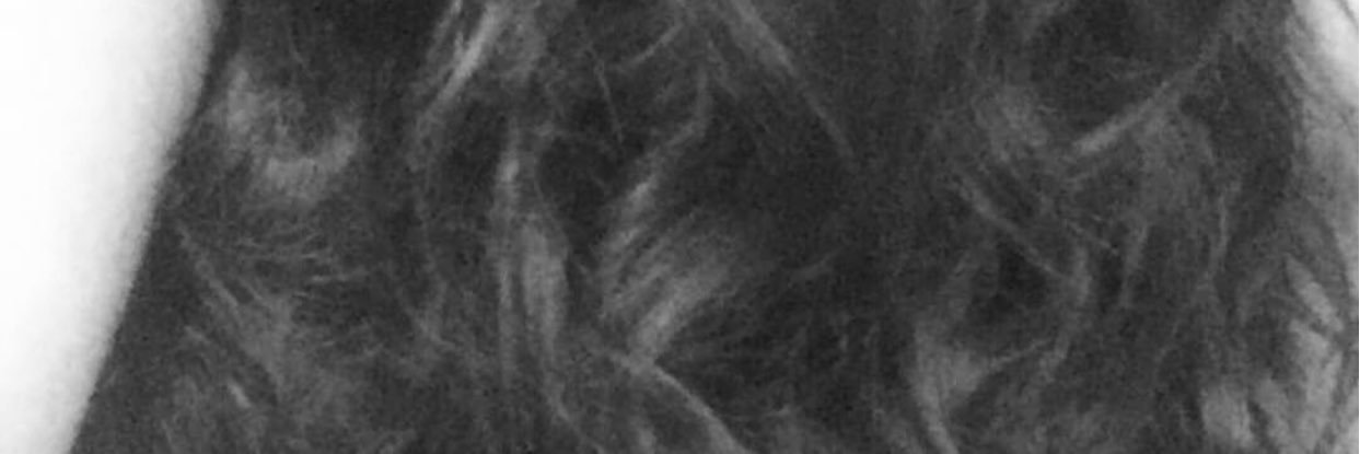 beinglexx's profile banner image