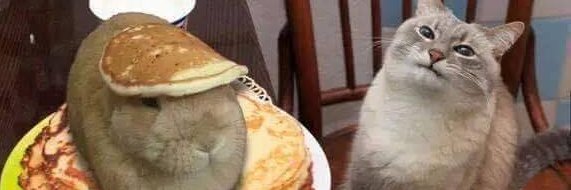 MartinodiSalta's profile banner image