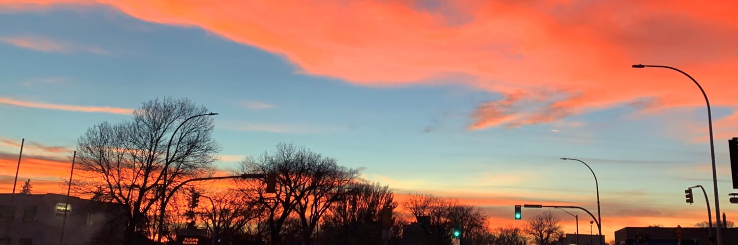 haley_jardine's profile banner image